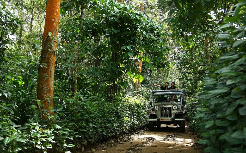 Peppervine Hotel Thekkady Zewnętrze zdjęcie
